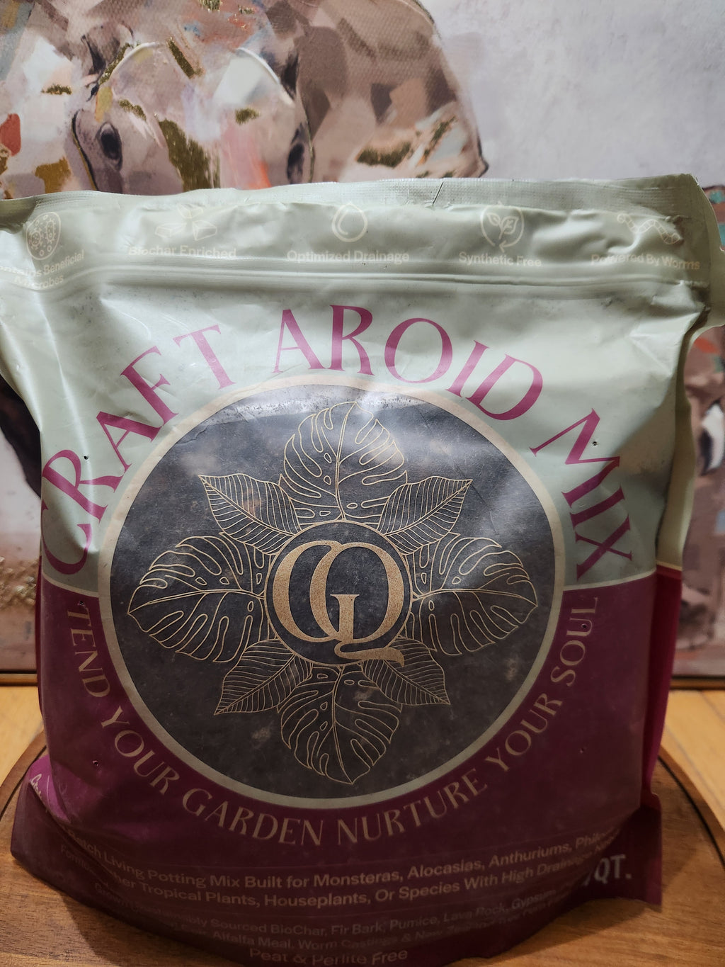 Grow Queen Aroid Mix