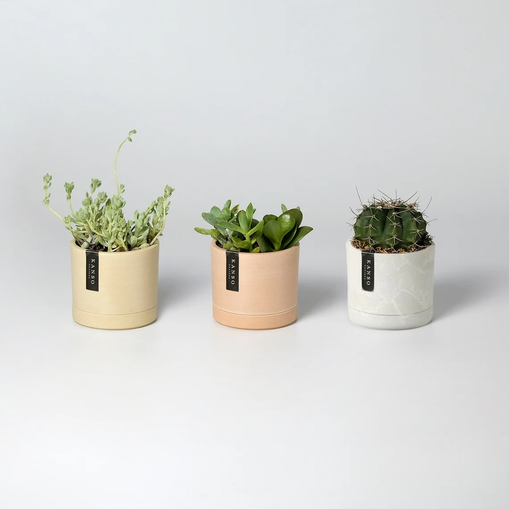 3.5" Earth Tone Mini Planters | 10 Colorways: Black