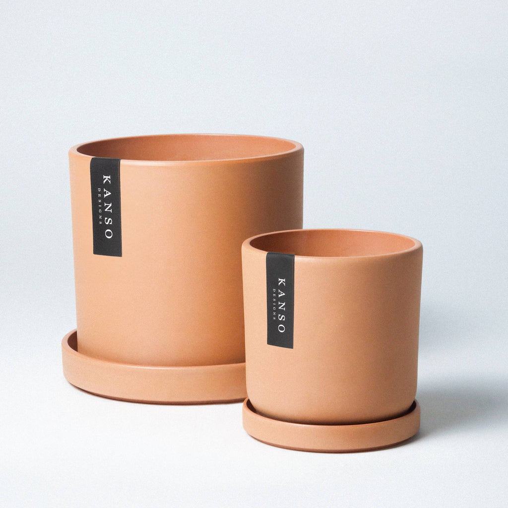 4" Mustard Seed & Dusted Clay Planters & Saucers: Mustard Seed