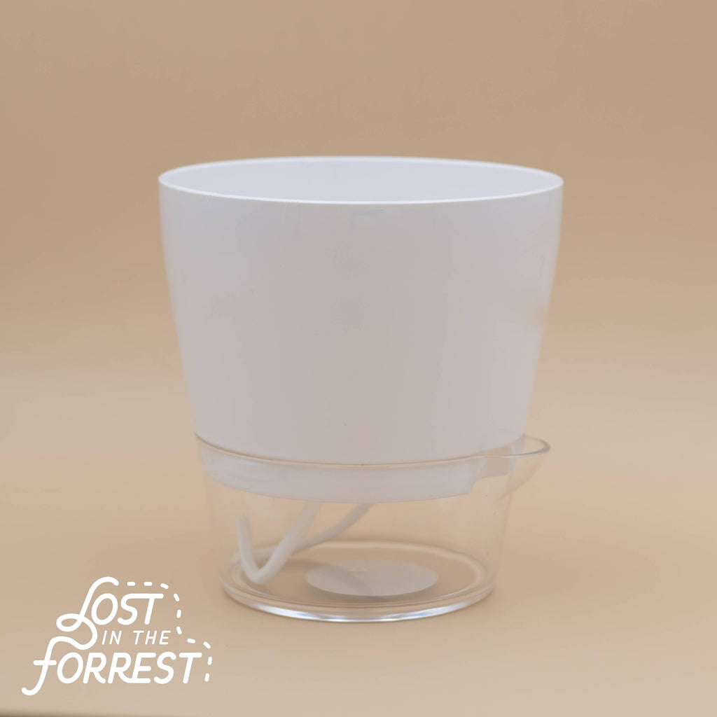 Padua Self-Watering Planter 6"