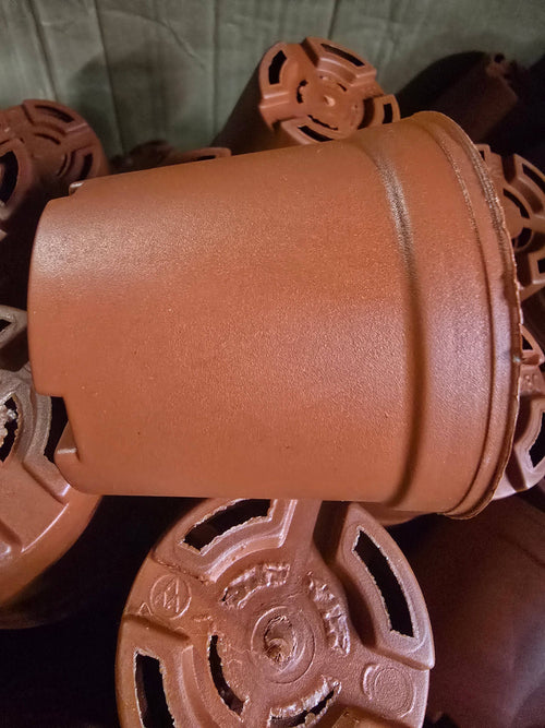 3 inch hard plastic pots