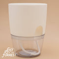 Padua Self-Watering Planter 4"