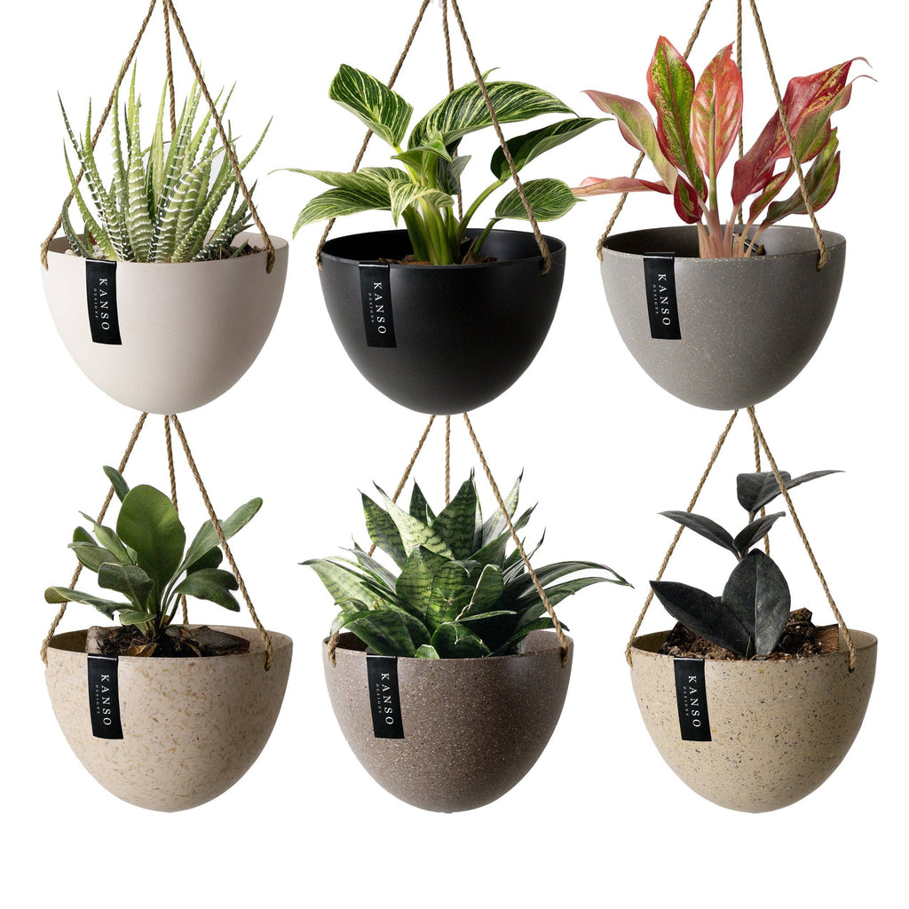 8" Upcycled Hanging Planters: Coffee Husk