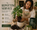 Repotting Service