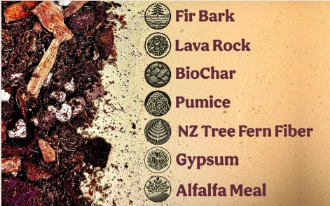 Grow Queen Aroid Mix