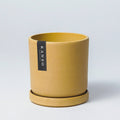 4" Mustard Seed & Dusted Clay Planters & Saucers: Mustard Seed