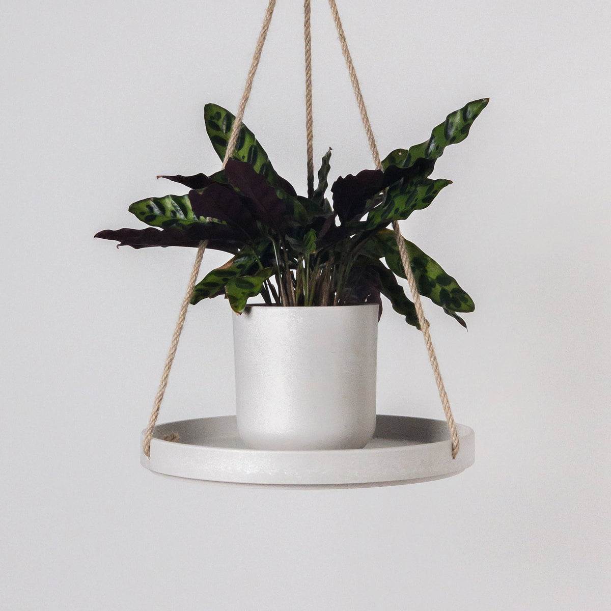 10" Signature Stone Hanging Tray: Black Stone
