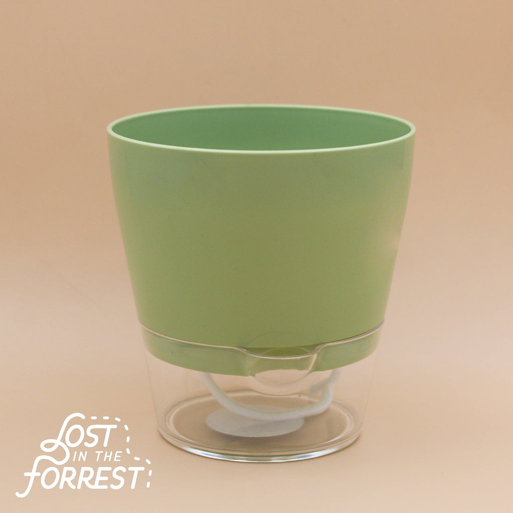 Padua Self-Watering Planter 6"