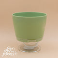Padua Self-Watering Planter 6"
