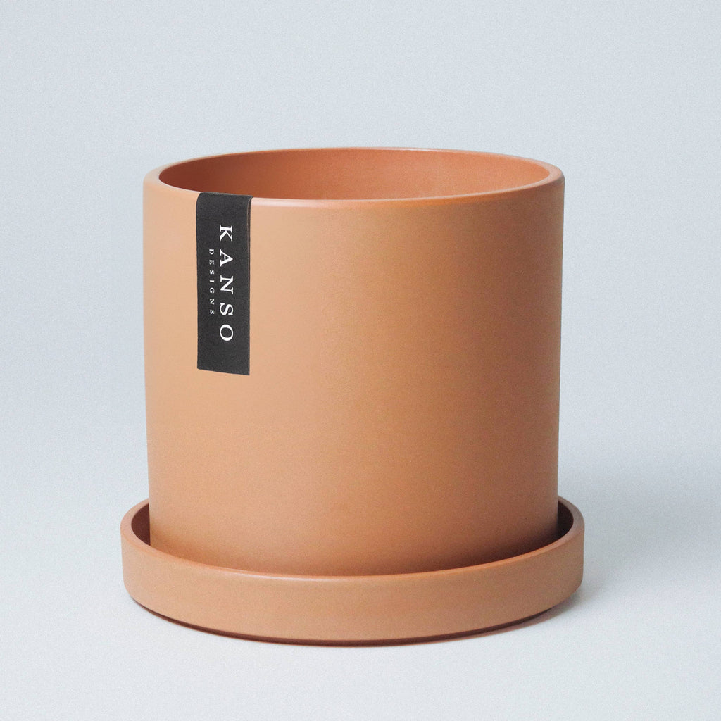 4" Mustard Seed & Dusted Clay Planters & Saucers: Mustard Seed